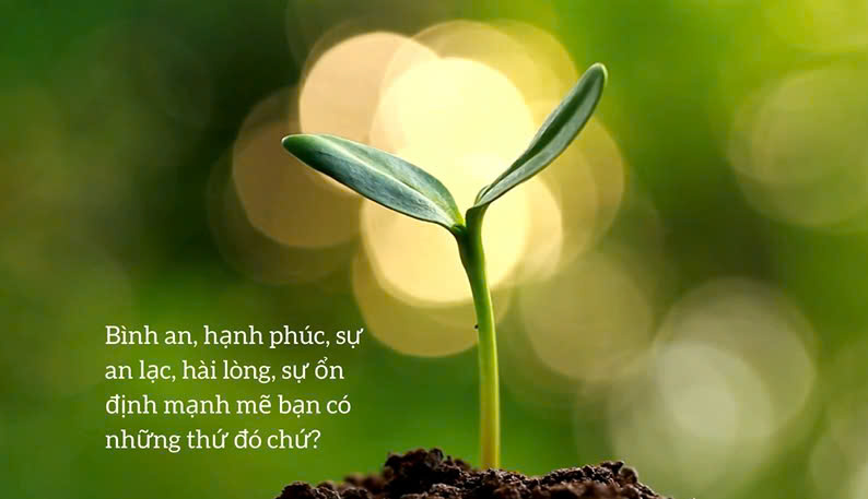 Hành trình tìm lại chính mình